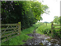 Bridleway near Over Peover