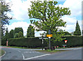 SJ8177 : Ancoats Road, Alderley Edge by michael ely