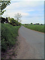 Road near Fernieflatt farm, Kinneff