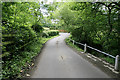 Shobley Road at Shobley Bottom