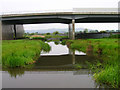 Golden Jubilee Way Bridge