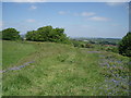 Maesbury Castle