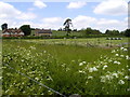 Country houses and pig huts, near Bossington