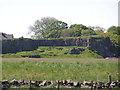 Disused Quarry