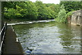 Below Weston Lock, River Avon