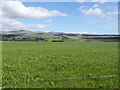 Grassy Field with Ochil Hills Behind