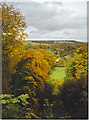 Looking Down the Zig-Zag Walk, Selborne Hanger.