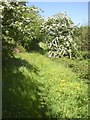 Footpath from Penny Hill to Holme Bottom, Barkisland