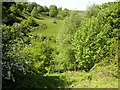 Bottomley Clough, Barkisland