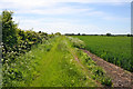 Farm track, Casthorpe, Lincolnshire