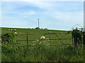 Gate into a field