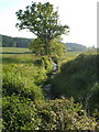 Stream at Salston