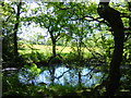 Pond on Street Hey Lane, Willaston