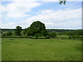 Llanbenwch farmland