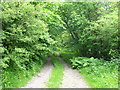 Track to Pentre Farm, near Bryneglwys