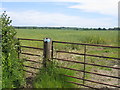 Bridleway to Pillerton Hersey