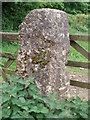 Limestone gate post