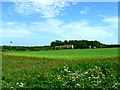 Moore Farm, Houghton Moor