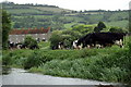 Cottages, Kelston Mills