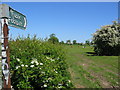 Footpath at SE658645