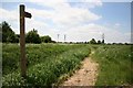 Footpath to Burringham