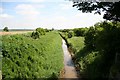 Drain from Poplars Bridge