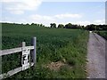 Track heading south east from the Little Somborne to King