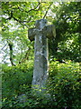 Hele Cross