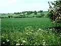 Fields near Battlesden