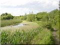 The disused Barnsley Canal near Wilthorpe