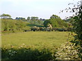 Farmland between Clipston and Naseby