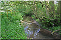 Brook at Little Welton