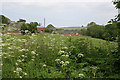 Farmland at Hallington near Louth