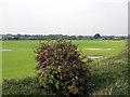 SJ5946 : Field beside the railway line by Nigel Williams