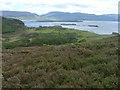 NM4238 : View South Over Loch na Keal by Mick Garratt