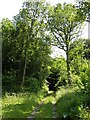 Woodland near Wichling pumping station