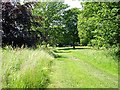 Grass track to Wichling church