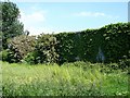 Ivy clad barn at Green Farm