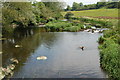 River Bann (upstream), Lindsay