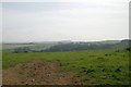 Field near Tilland Road Farm