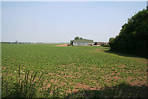 TF2625 : Farmland near Spalding by Kate Jewell
