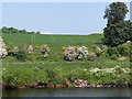 Farmland at Row