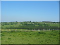 View south east from High Knowle