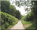 Lane to Lily Bottom, near Hampden