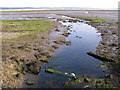 SZ3695 : Plummers Water entering the Solent mudflats, New Forest by Jim Champion