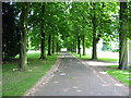 Entrance Drive to Ednaston Manor