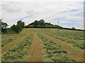 Haymaking at Yarn Hill