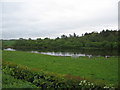 Fishing platforms at Snipe Loch