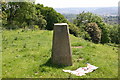 Weston trig