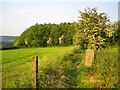 OS Triangulation Pillar at Wigginton